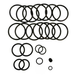 Hydraulic O-Ring Kit (BKH-H034468600)