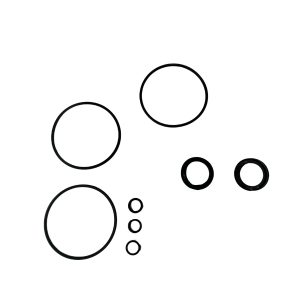 Series J2, Hydraulic Motor Seal Kit (CHR-60580-HSP)