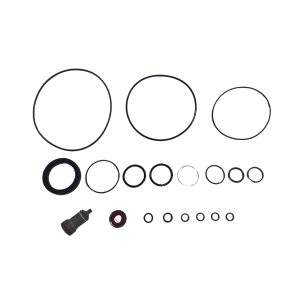 Series 45 G - G74B, G90C Pump, Overhaul Seal Kit (DFS-11106336)
