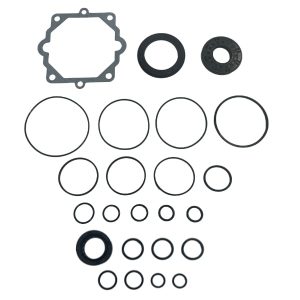 Series 40 - 44cc Pump, Overhaul Seal Kit (DFS-4510149)