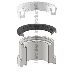 MILLER Rod Gland Kits (2,3,4) Retainer Held Iron – MLR-051-KR010-300