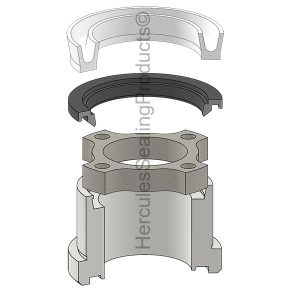 A Series, Bolted Hydraulic Rod Gland Kit, Rod 1.375" (MLR-051-KR011-138)