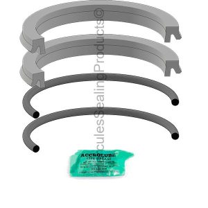 2AN Series, Hydraulic Piston Seal Kit, Bore 2.000" (PKH-PK2002AN01)