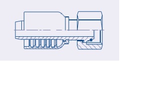 Balflex BW23 Series Female Metric DIN Heavy 24° Cone w/ O-Ring (DKO-S)